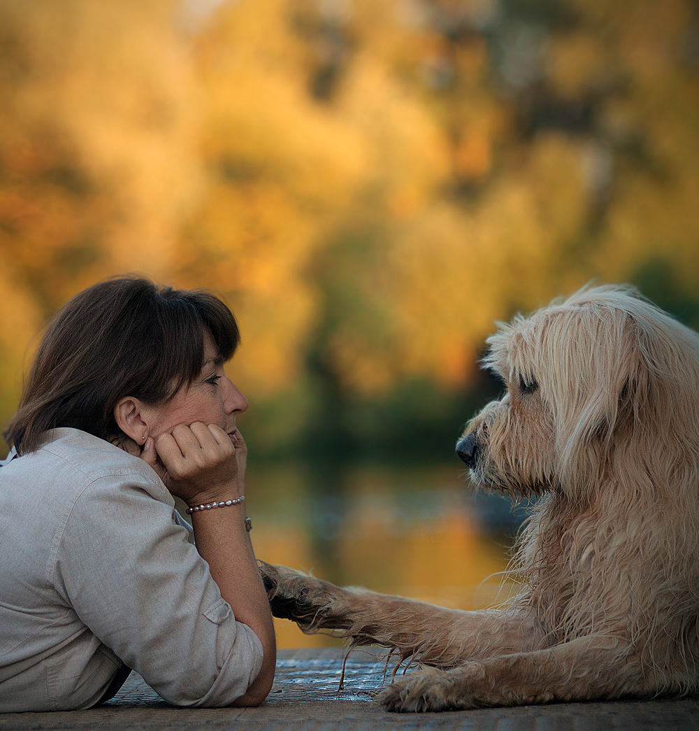 Hunde Mensch Hunde Mensch