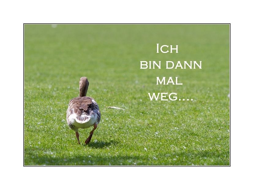 Bin Dann Mal Weg Bilder Bin Dann Mal Weg Bilder