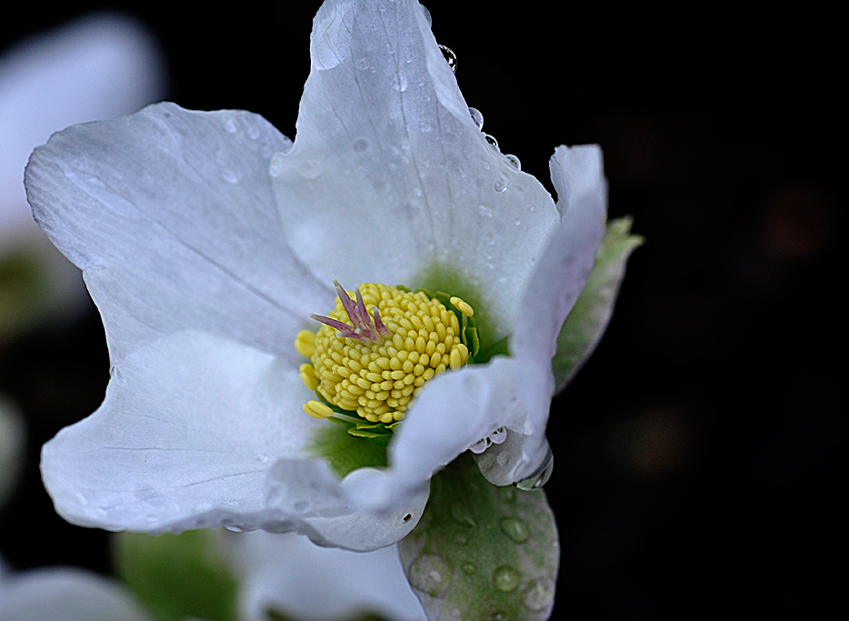 ich freue mich für dich Foto & Bild emotionen, freude, spezial Bilder auf