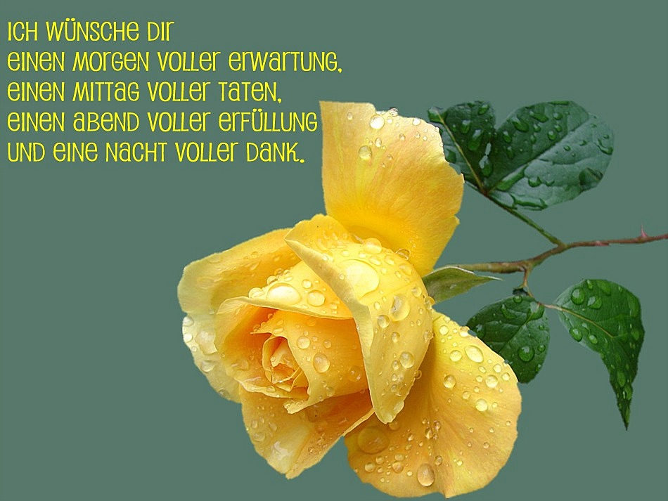 Ich wünsche dir.... Foto & Bild karten und kalender, karten 2009