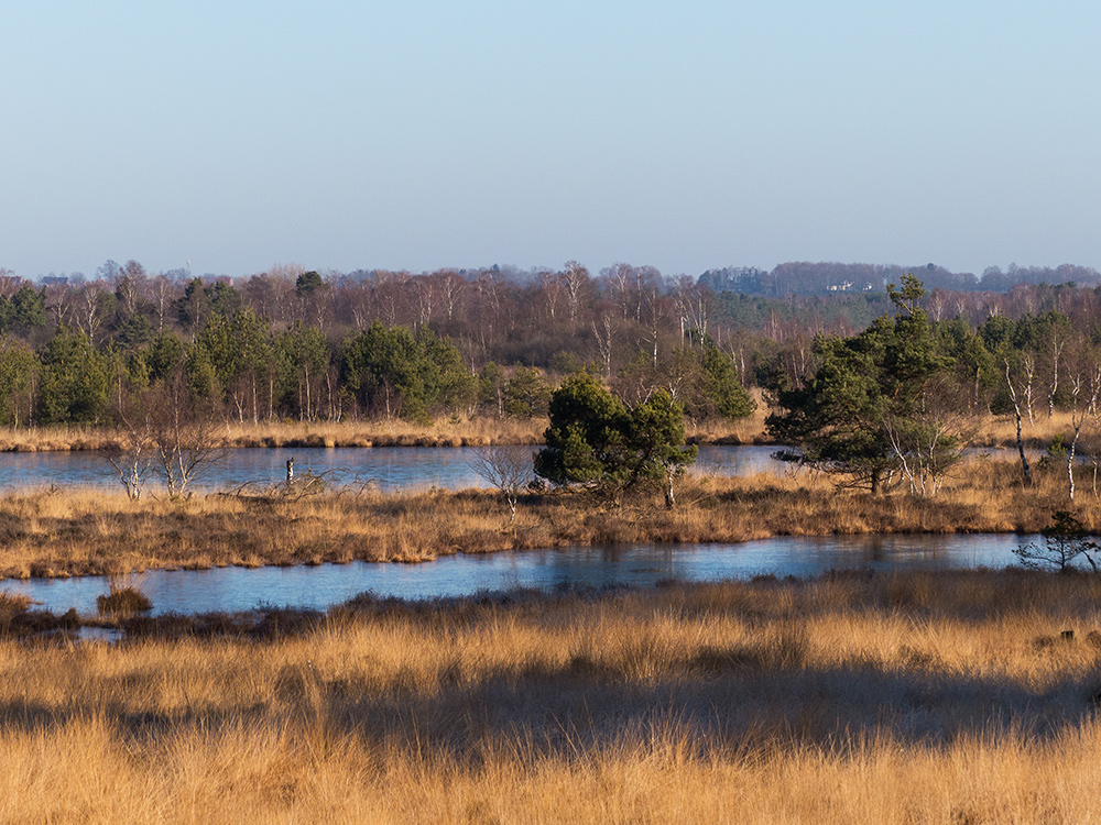 http://img.fotocommunity.com/im-gildehauser-venn-4-de1327e1-f11e-41fe-9d5d-ed9866907746.jpg?width=1000