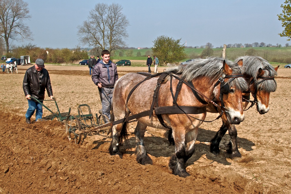Im Märzen der Bauer ... (I) Foto & Bild | jahreszeiten, frühling, natur ...