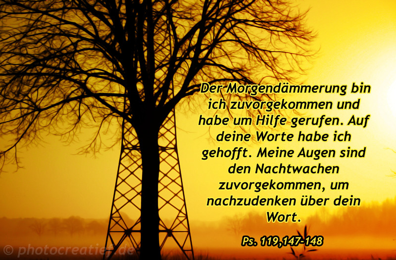 Im Nebel mit Bibelspruch Foto & Bild nebelstimmungen, wetter, natur