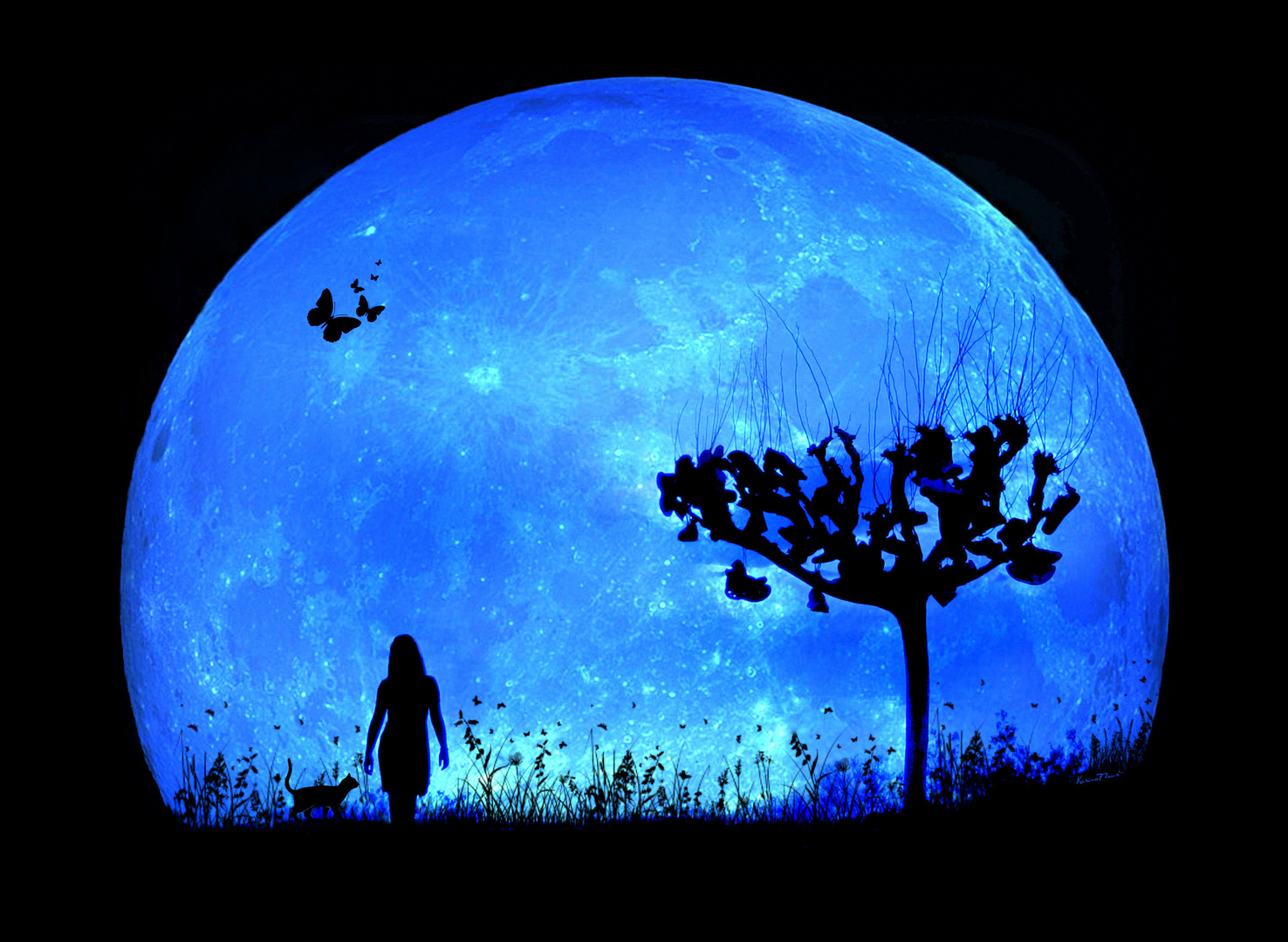 J'ai demandé à la lune... photo et image visions artistiques, sujets