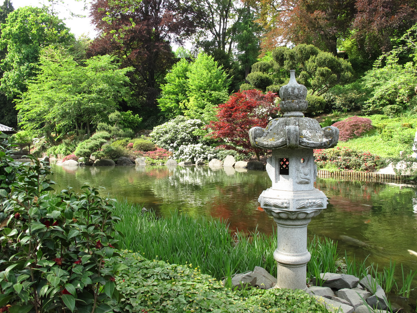 JAPANISCHER GARTEN KAISERSLAUTERN Foto & Bild architektur