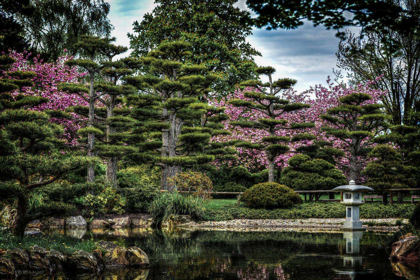 Japanischer Garten zur Kirschblüte… Foto & Bild