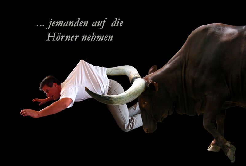auf die hörner nehmen auf die hörner nehmen