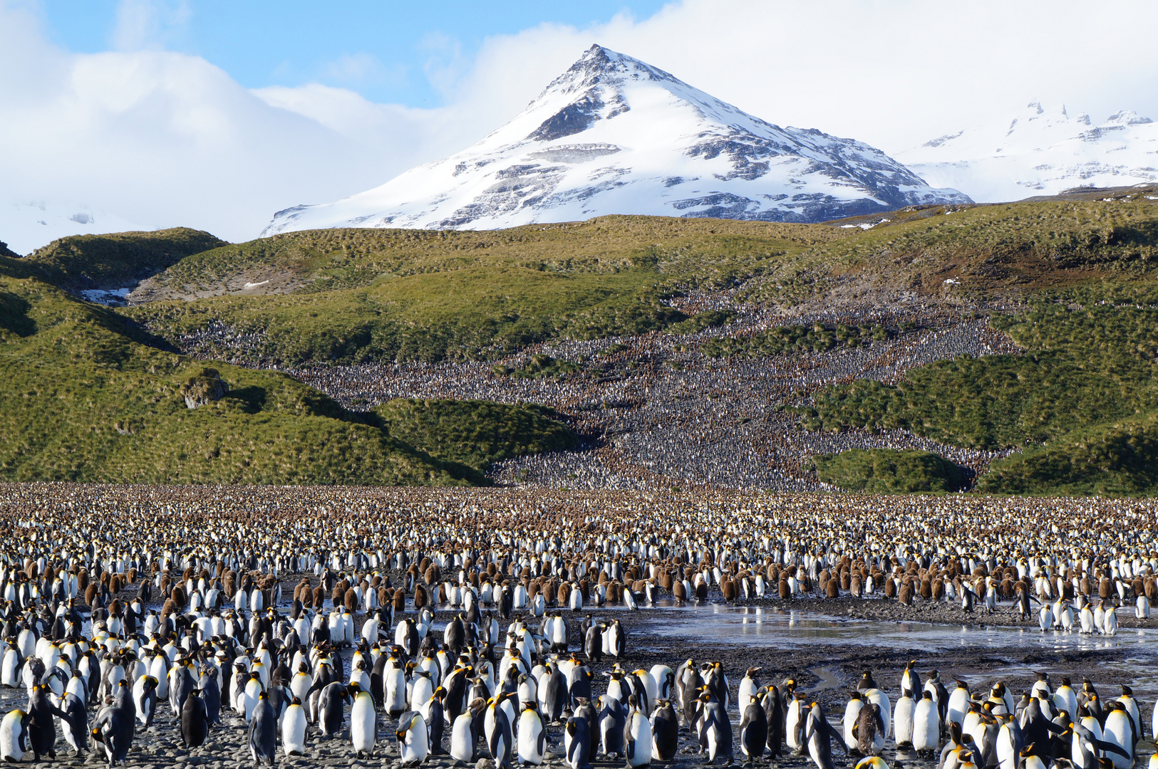 Sandwich Islands South Georgia Sandwich Islands South Georgia