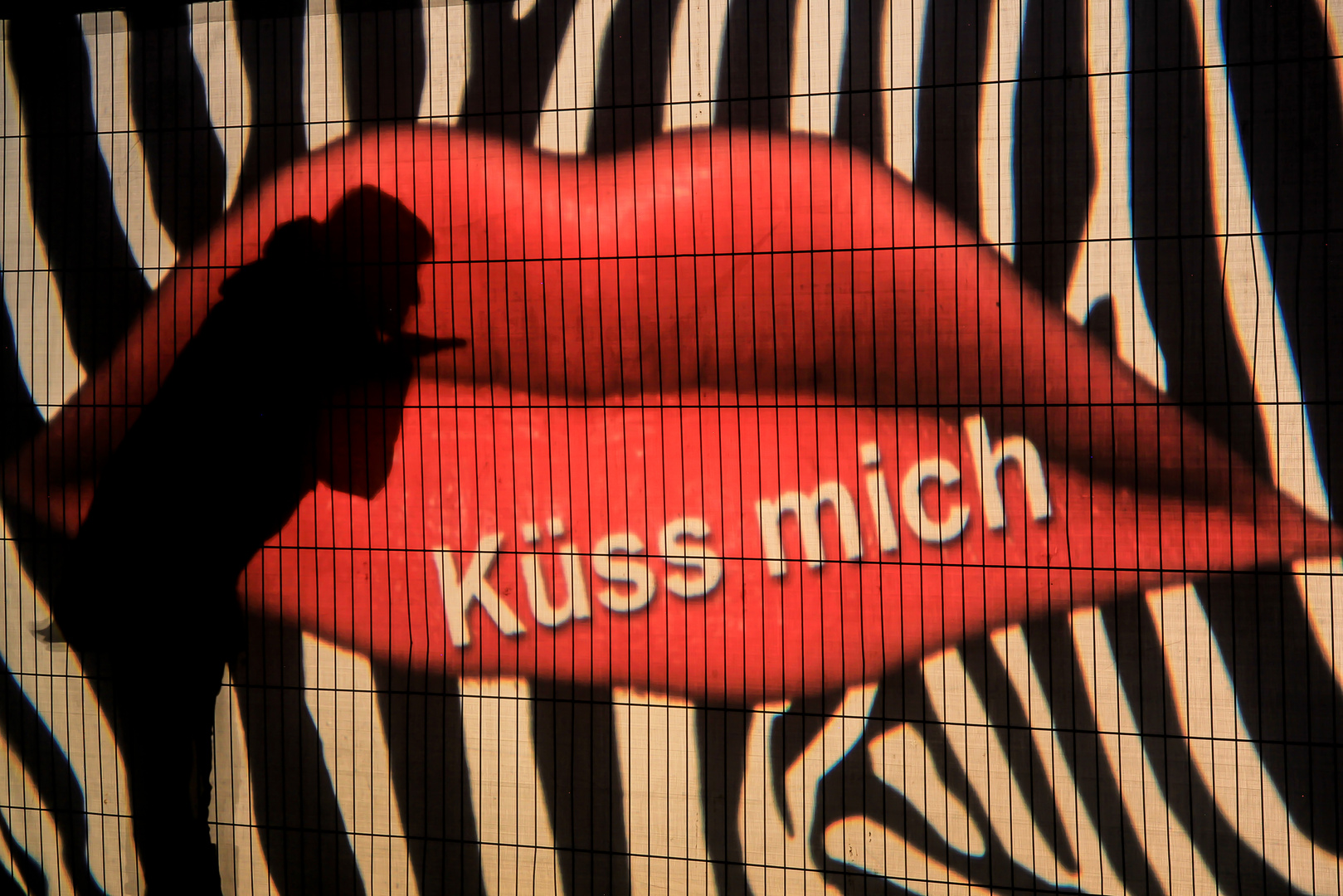 Küss Mich Küss Mich