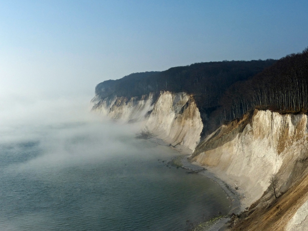 Küstennebel