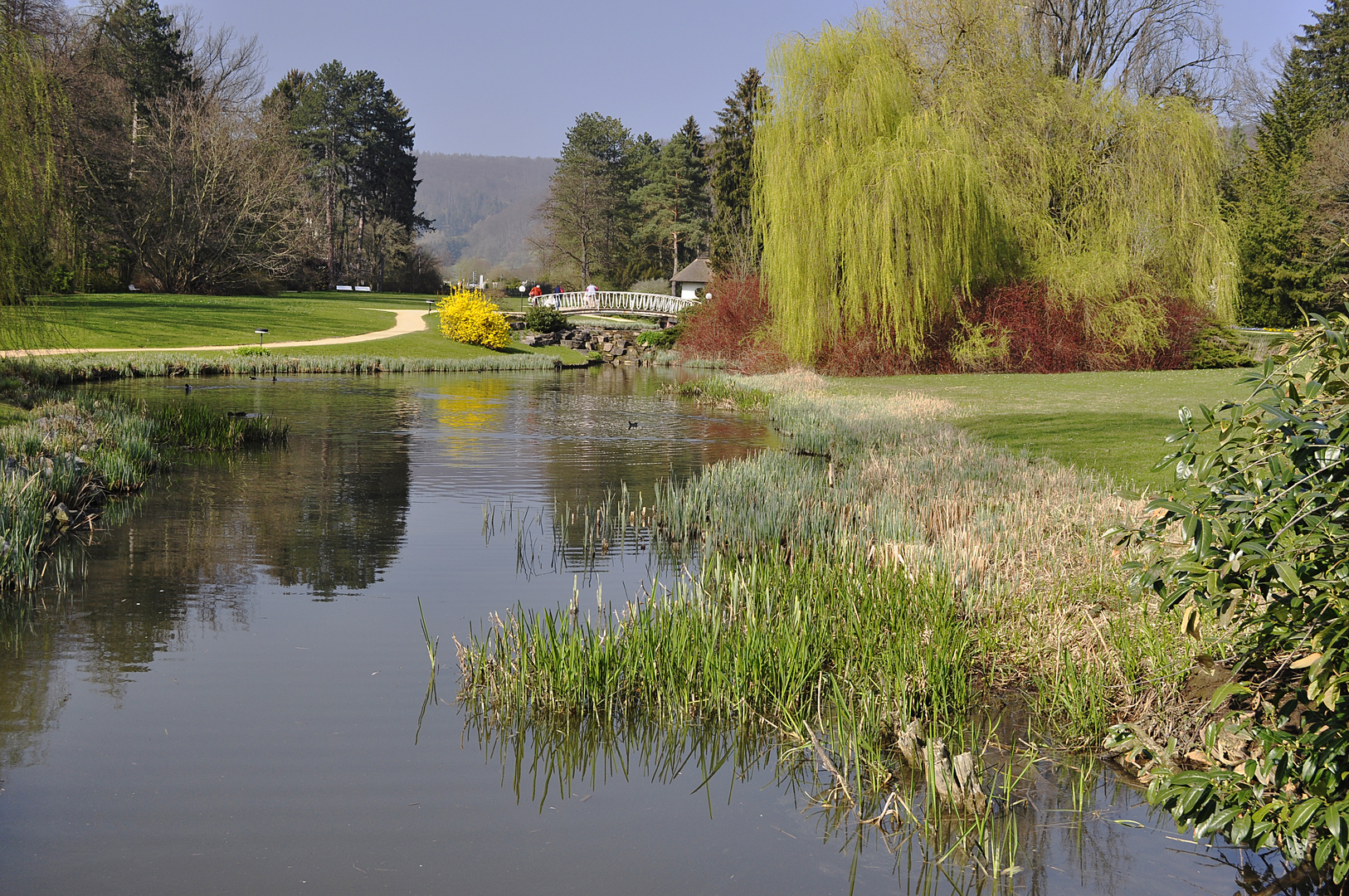 Kurpark Bad Pyrmont Foto & Bild landschaft, garten