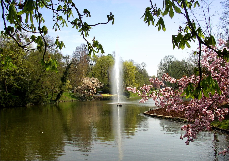 Wiesbaden Kurpark Wiesbaden Kurpark
