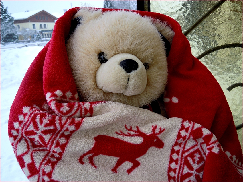 Kuschelwetter bilder Kuschelwetter bilder