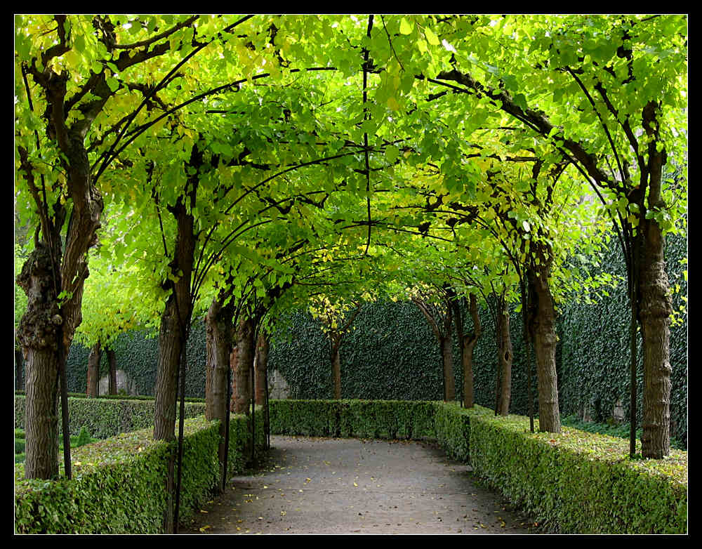 Laubengang Foto & Bild landschaft, garten
