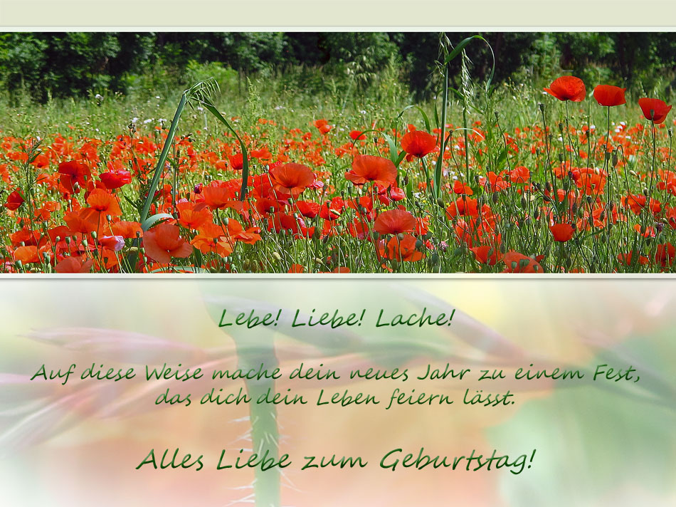 Lebe! Liebe! Lache! Foto & Bild gratulation und feiertage, geburtstag