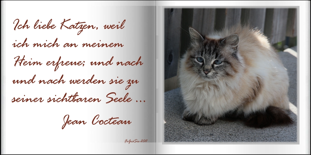 Lebensweisheiten I Foto &amp; Bild quatsch, fun und rätselecke, humorvolle bilder mit texten
