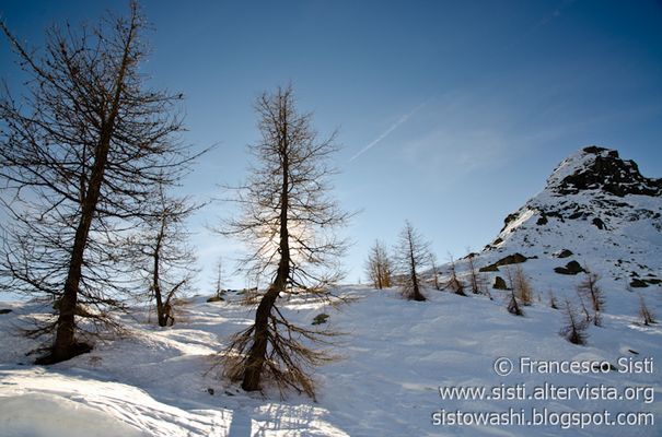 Leggeri spiriti invernali... (Val Chalamy, Parco Naturale del Mont Avic, Valle d'Aosta - Vallée d'Ao