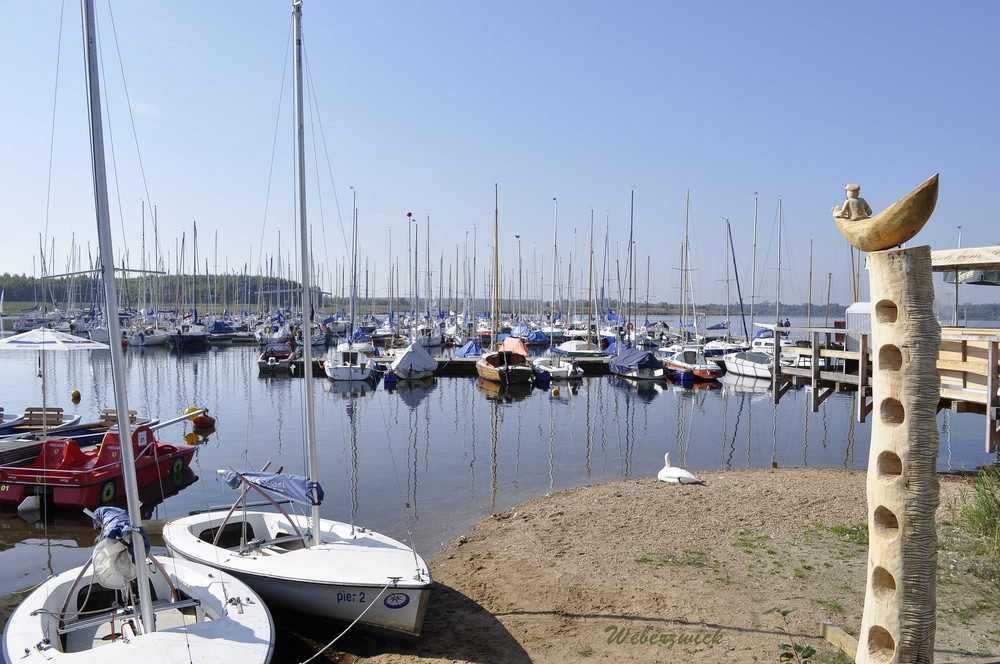 Leipziger Neuseenland Foto & Bild landschaft, rückkehr der natur