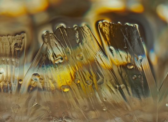 Licht- und Farbenspektakel im alten Brunnen! - Les lumières d'une vieille fontaine...