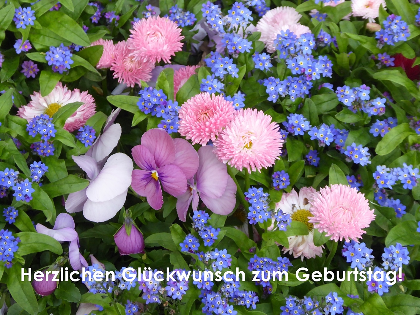 liebe monika herzlichen gl 252 ckwunsch zum geburtstag foto herzlichen glueckwunsch zum geburtstag