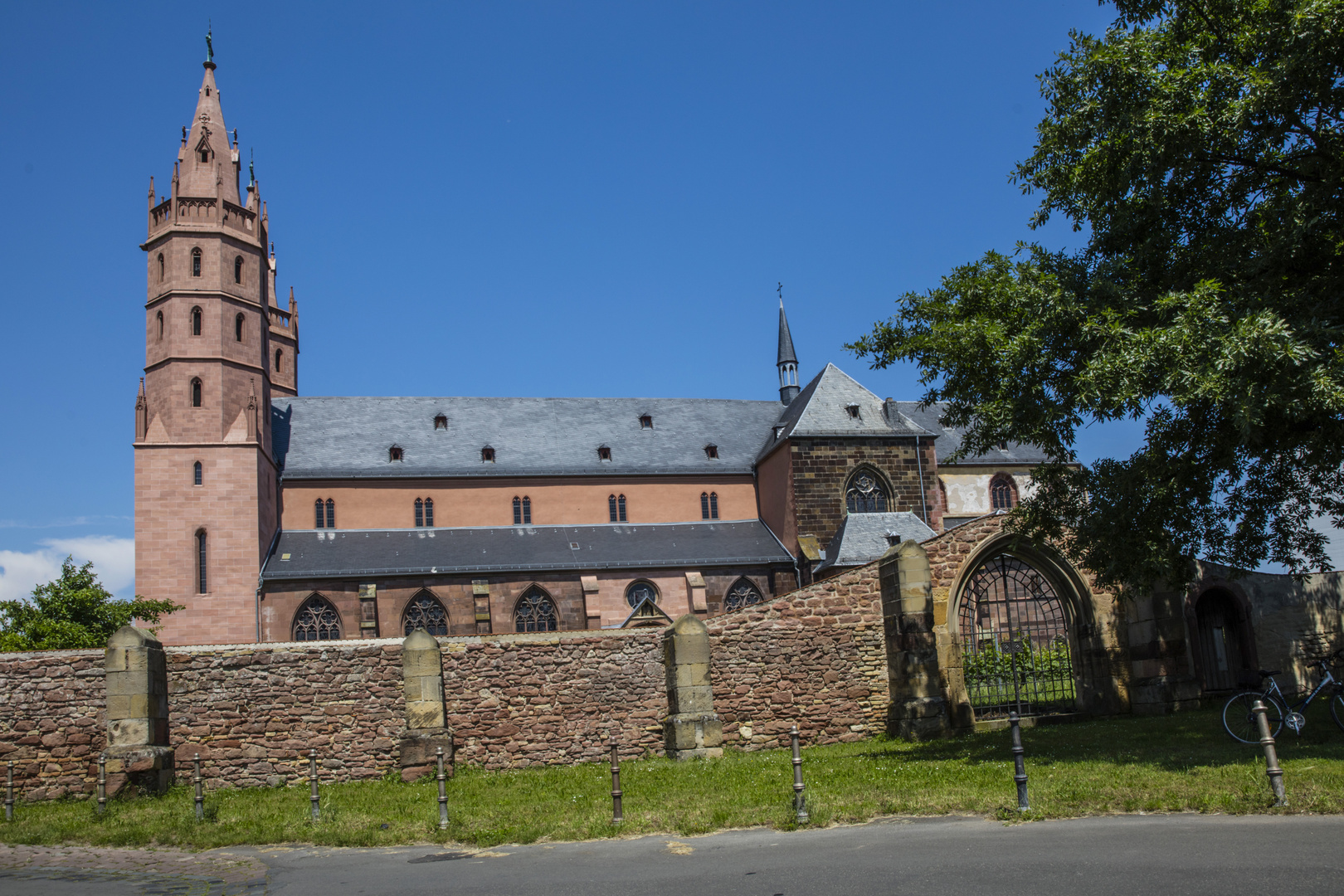 Single frauen worms