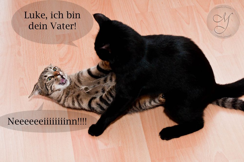 Ich bin dein geiles date 7