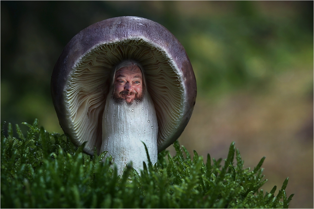 Magic Mushroom :) Foto & Bild | fun, natur, pilz Bilder auf fotocommunity