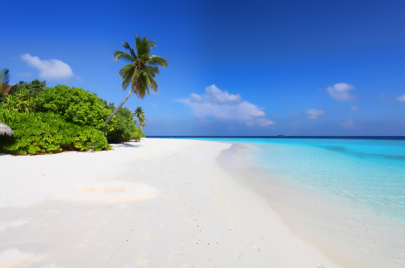 malediven sand palmen strand und meer foto  bild  asia
