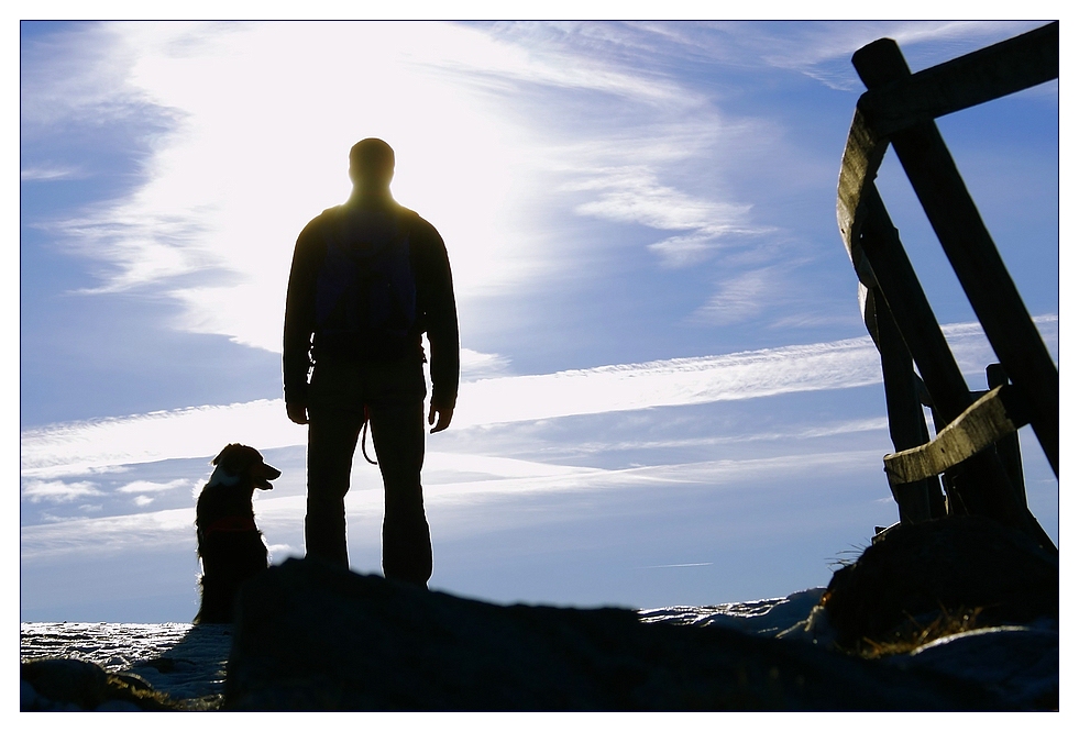 Mann mit hund kennenlernen
