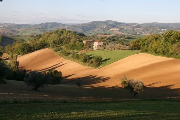 Mattino d'aprile sul colle di Cerreto ( da Il lento passar delle stagioni)