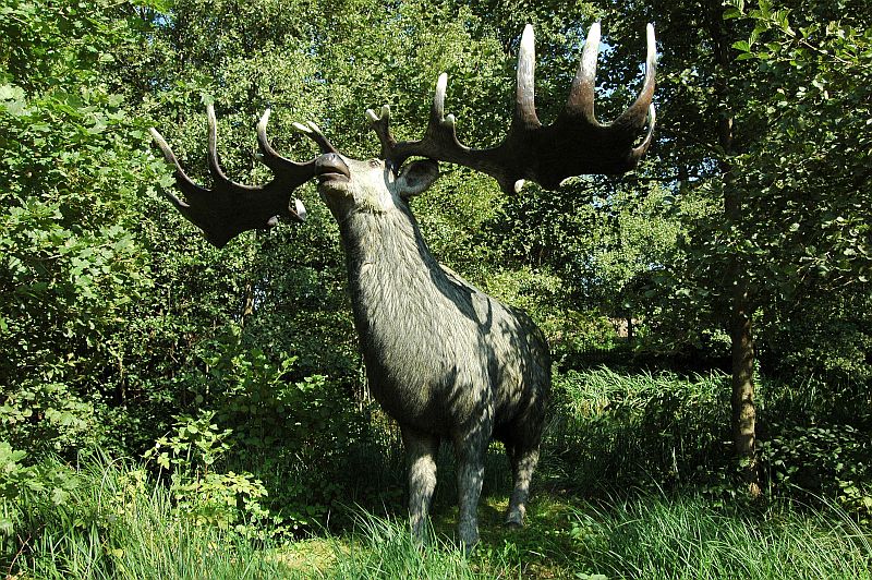MEGALOCEROS der größte Hirsch, der auf der Erde lebte Foto & Bild Natur, Säugetiere