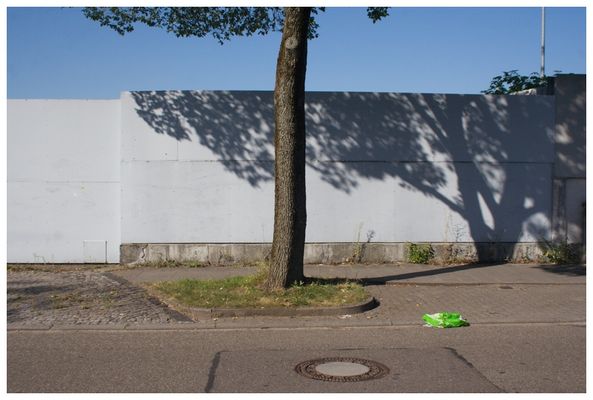 Mehr grün in der Stadt sorgt für besseres Klima und zufriedenere Bevölkerer. Der Baumstamm...