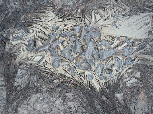 Mein erstes Eisblumen-Kunstwerk 2017! - Ces fleurs de givre fleurissent tôt le matin...