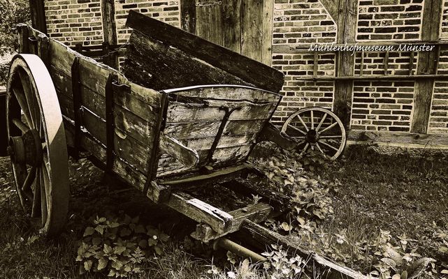 Meine alte Karre, Cabrio, Bauj. Anno Schnuff, 2 Sitzer, 1PS........#15.2471#21/50