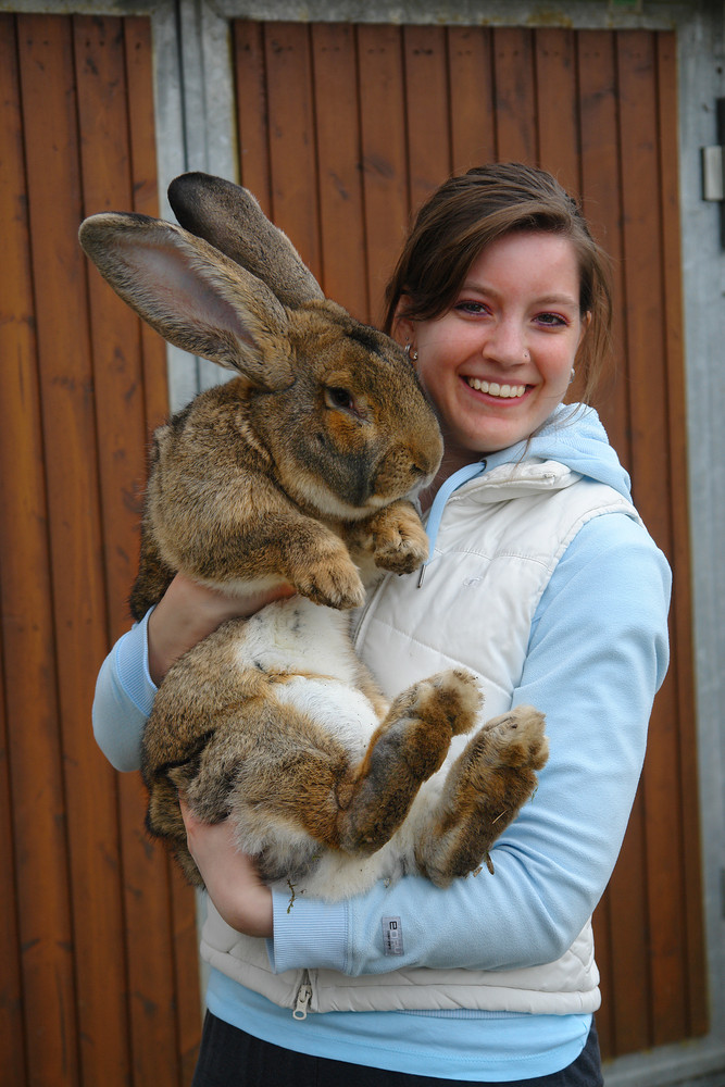 Meine Schwester mit ihrem Osterhasen Samson Foto & Bild | tiere