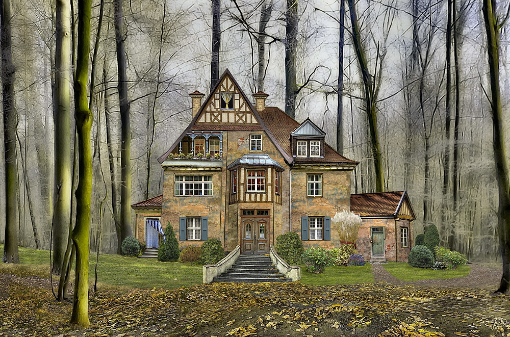 meine Wald Villa Foto Bild eine vorlage ein bild
