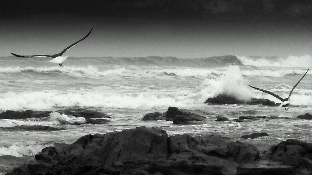 Résultats de recherche d'images pour « mer agitée »