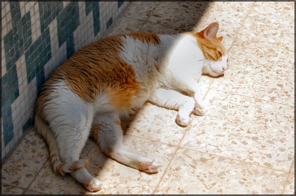 Mi piace il sole nel capo......così arrivano nuove filosofie nella mia mente