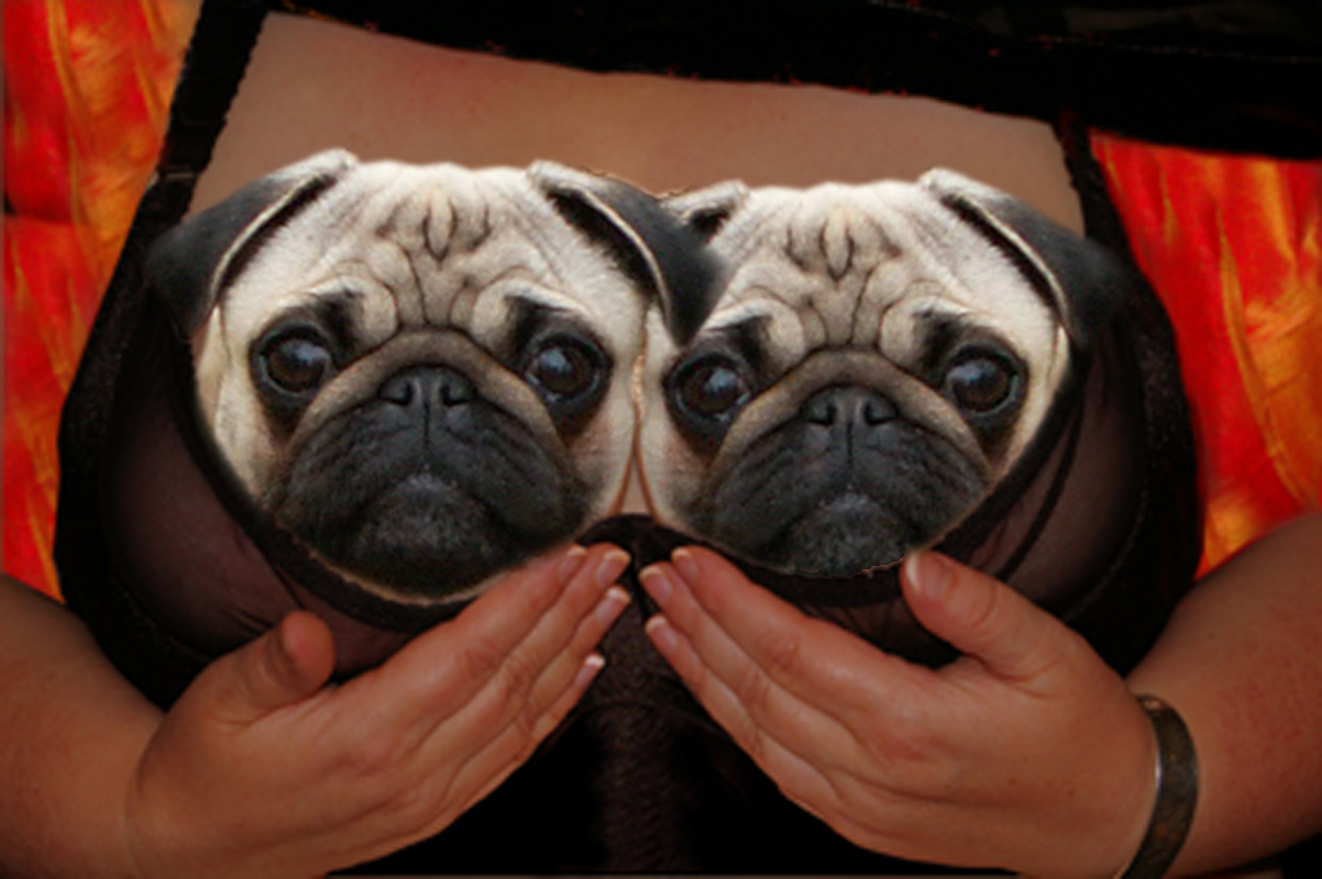 Moepse.Com Moepse.Com