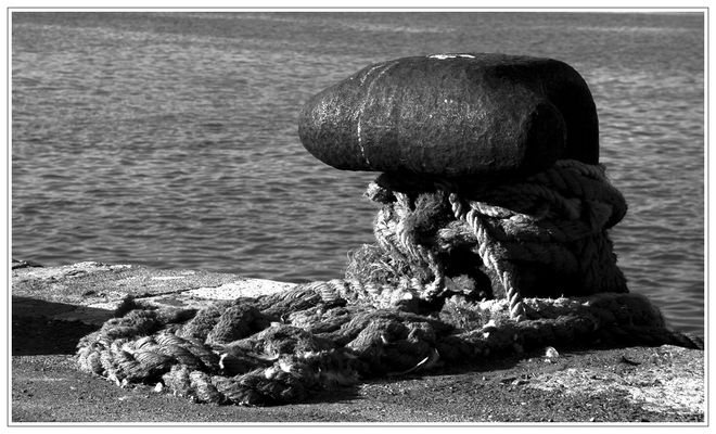 Mostra online di Carlo Rigoglioso: "Cose di mare... così... semplicemente" - 1.
