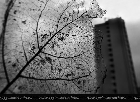 Mostra online di Fulvia Menghi "Paesaggio extraurbano" - Tre Archi Porto Sant'elpidio(Fermo)