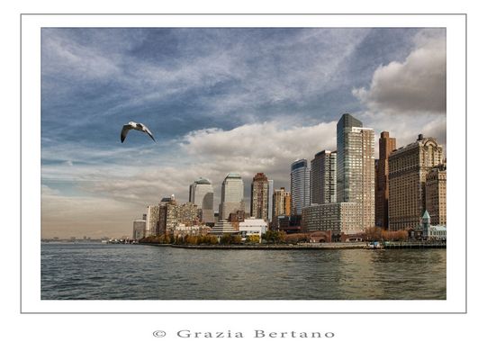 Mostra online di Grazia Bertano “Autumn in New York” - 1. Flight from New York