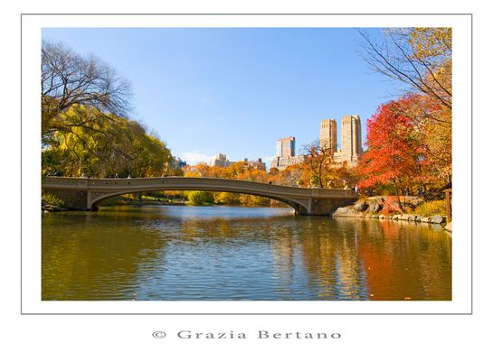 Mostra online di Grazia Bertano “Autumn in New York” - 3. Indian summer in Central Park