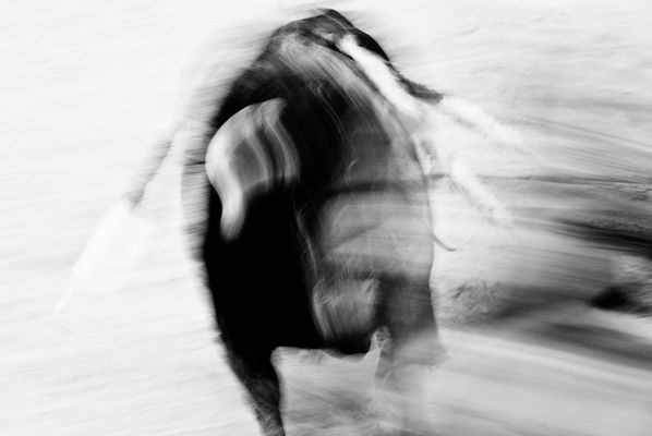 Mostra online di Laura Fogazza _ "Y el óxido sembró cristal y níquel ........"
