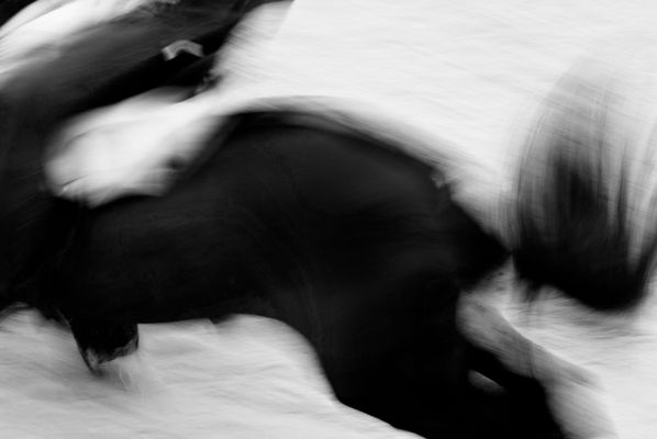 Mostra online di Laura Fogazza _ "Y el óxido sembró cristal y níquel ........."