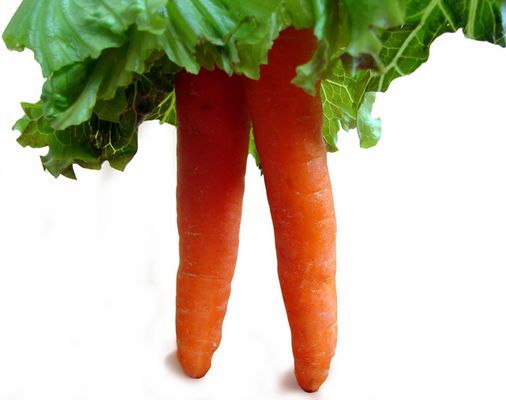 Mostra online di Mata Patanè: "I mille volti della frutta" - 10. Save the last dance