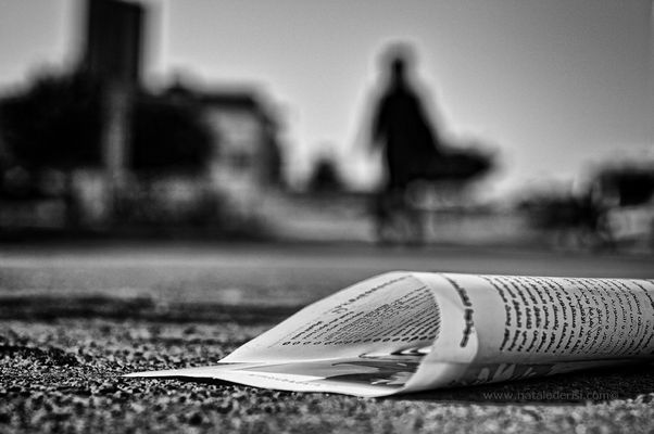 Mostra online di Natale De Risi "Appunti di viaggio: 15-01-2011" - 5. Libera propaganda
