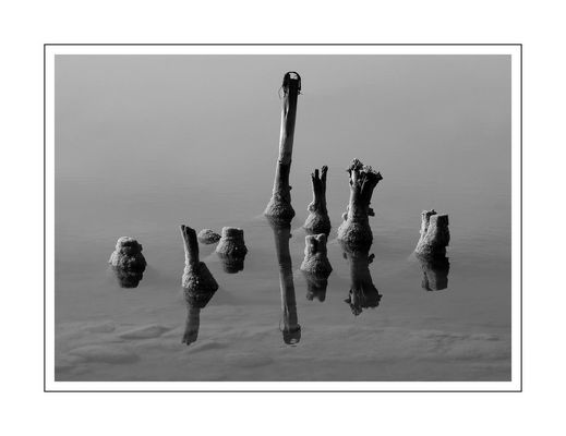 Mostra online di Stefano Todde "Particolari dalla Sardegna" - 7. Particolari