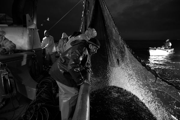 Mostra online di Uta Theile "L'arte della pesca nelle Cinque Terre" - 8. Soddisfazione