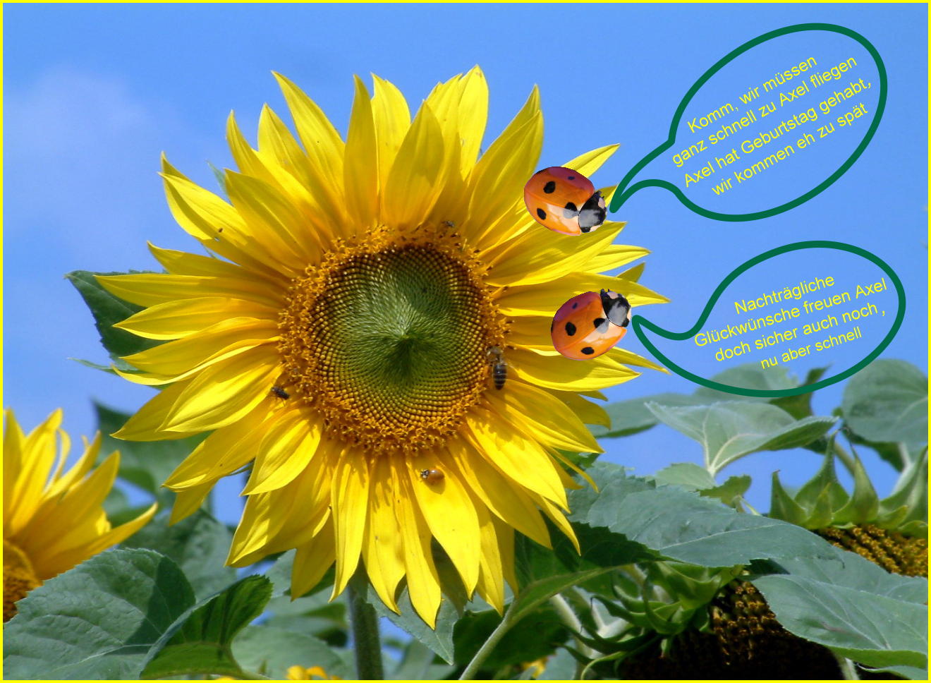 Geburtstag Wunsche Fotos